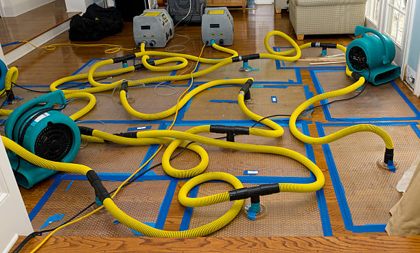 Professional Sewage Cleanup technician working in Grayland, WA